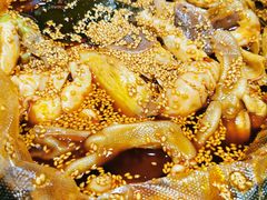 -明洋钵钵鸡(春田小区店)