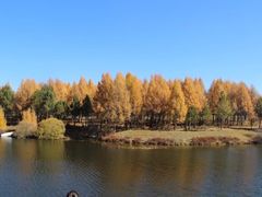 -塞罕坝国家级自然保护区