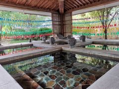 -中家鑫园温泉酒店鑫悦汤泉