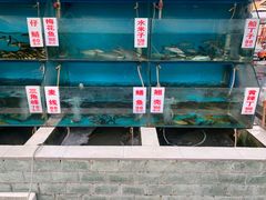 水产区-高坎一品甲鱼庄(两河店)