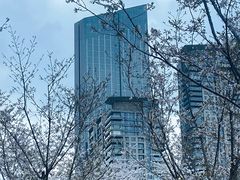 -西北湖绿化广场