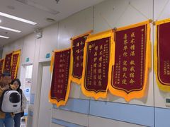 -中农国际动物医院24小时·猫科·骨科·急重症中心