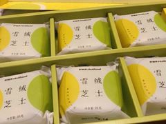 -蒲公英(五里店)