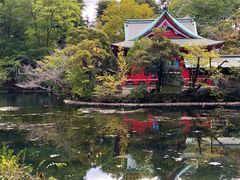 -井之头恩赐公园
