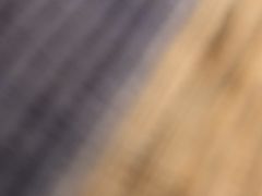 -柳州饭店·绿岛餐厅(友谊路店)