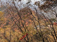 -秦岭终南山世界地质公园翠华山景区