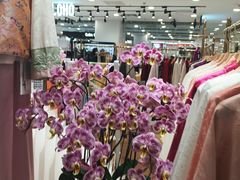 -凯德MALL(望京店)