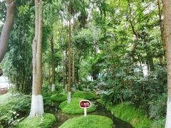 -成都市活水公园