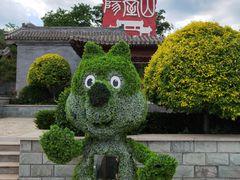 -阳台山自然风景区