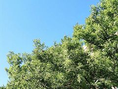 -中央音乐学院歌剧音乐厅