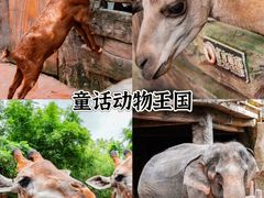 -长鹿旅游休博园