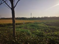 -嘉北郊野公园