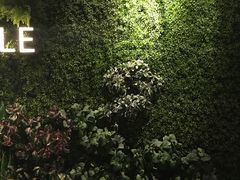 -威尔仕健身·游泳(KING88店)