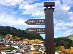 -四川郎木寺镇