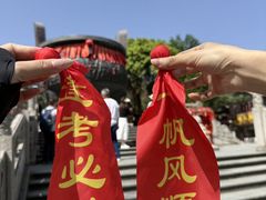 -鼎香皇高佬苏裹蒸粽