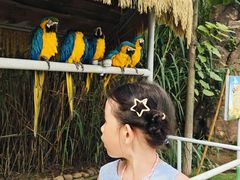 -西霞口神雕山野生动物世界