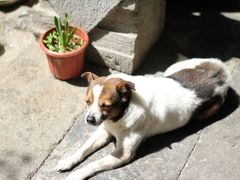 IMG_6725-留荫庐旅馆