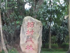 -瑞丽独树成林风景区