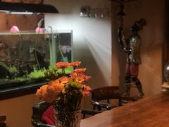 -六月花园咖啡馆(中关村东路店)