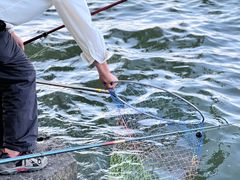 -西湖外事游船(花港观鱼码头)