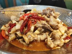 -大鸽饭(马王堆店)