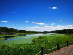 -御道口草原森林风景区
