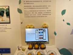 -清华大学艺术博物馆