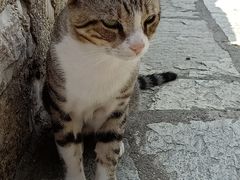 -梅黛奥拉修道院