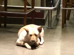 -Cactus墨西哥仙人掌餐厅