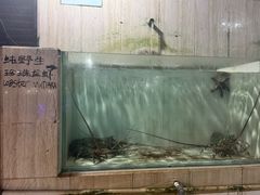 -海盗餐厅