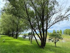 -野鸭湖国家湿地公园