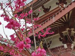 -莆田南少林寺