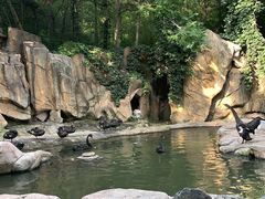 -燕塞湖鸟语林景区