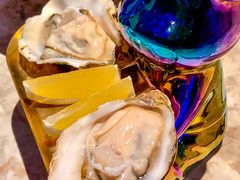 -Darling Queen·Mini·Live·House