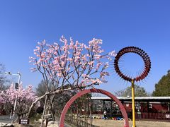 -武汉紫薇都市田园