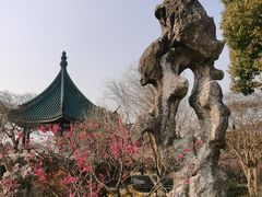 -无锡梅园公园