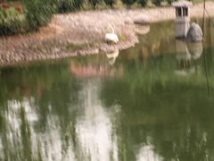 -曲江惠宾苑宾馆(大雁塔大唐不夜城店)