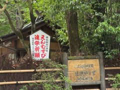 -野宫神社