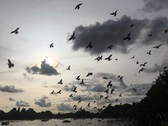 -海德公园