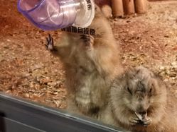 -酷嗒动物文化乐园(cutezoo西溪乐天城店)