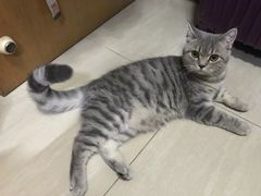 -芭比堂动物医院广州顽皮分院