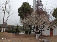 -张公山寨景区