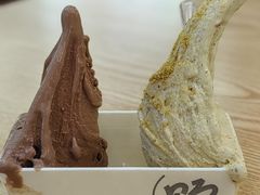 -野人先生Gelato(上海长宁龙之梦店)