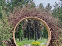 -东平国家森林公园