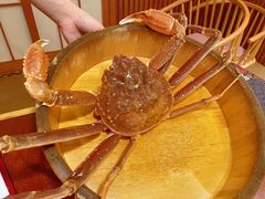 松叶蟹-蟹田居·活蟹料理(东城店)