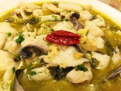 钦善斋-钦善斋(武侯祠店)