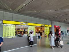 -合肥新桥国际机场-航站楼