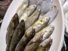 android_upload_pic-羊汤研究所(茶苑海口路店)