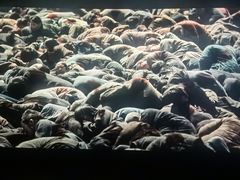 -万达影城(长安万达广场IMAX店)