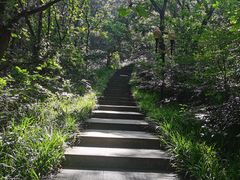 -句容茅山景区